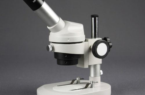 Dissecting microscope