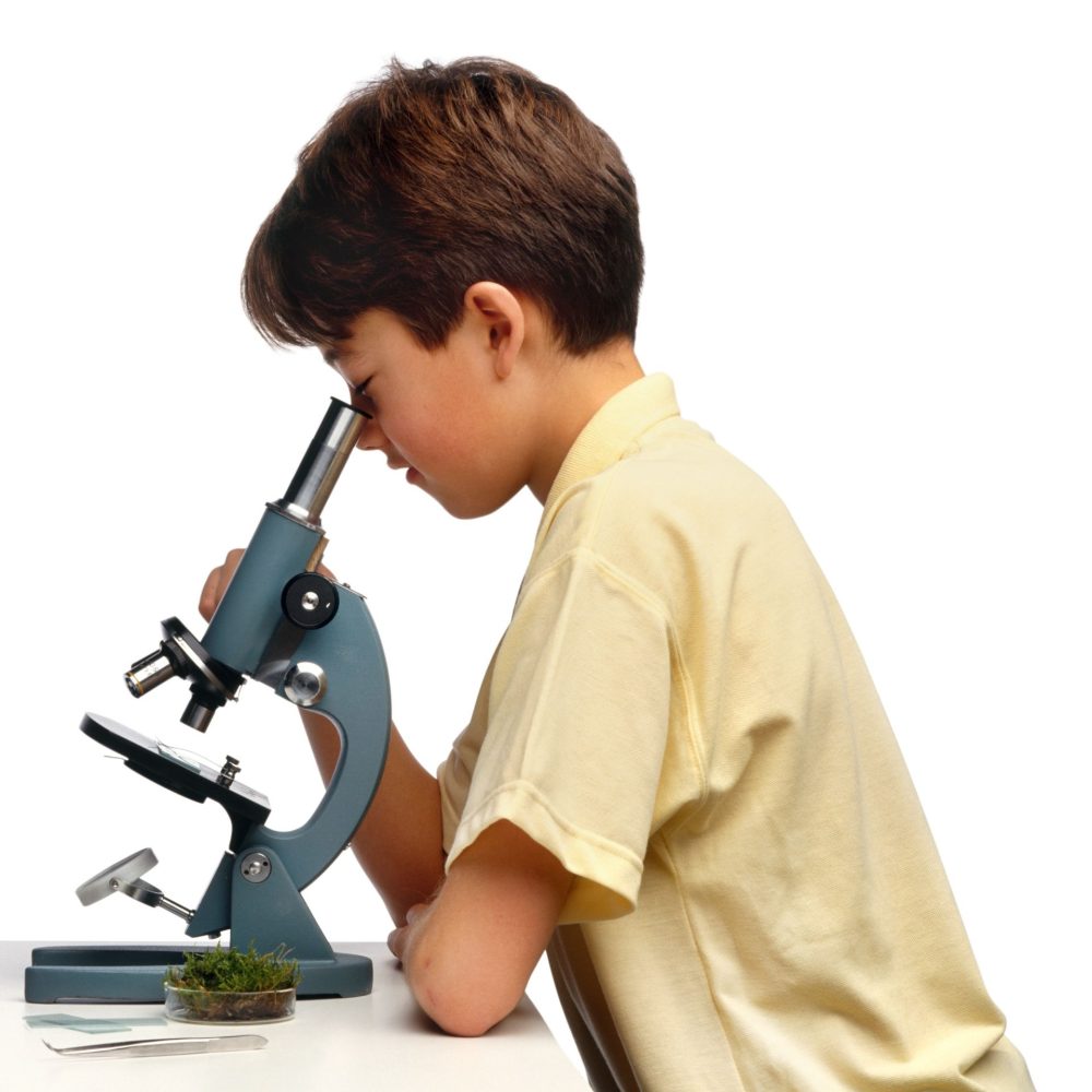 Applications of microscopes