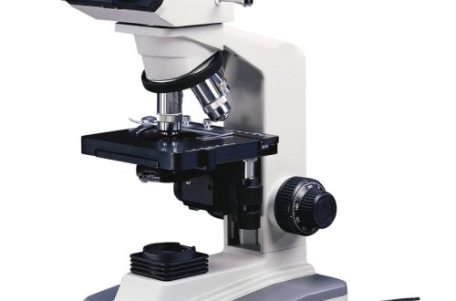 Educational microscopes