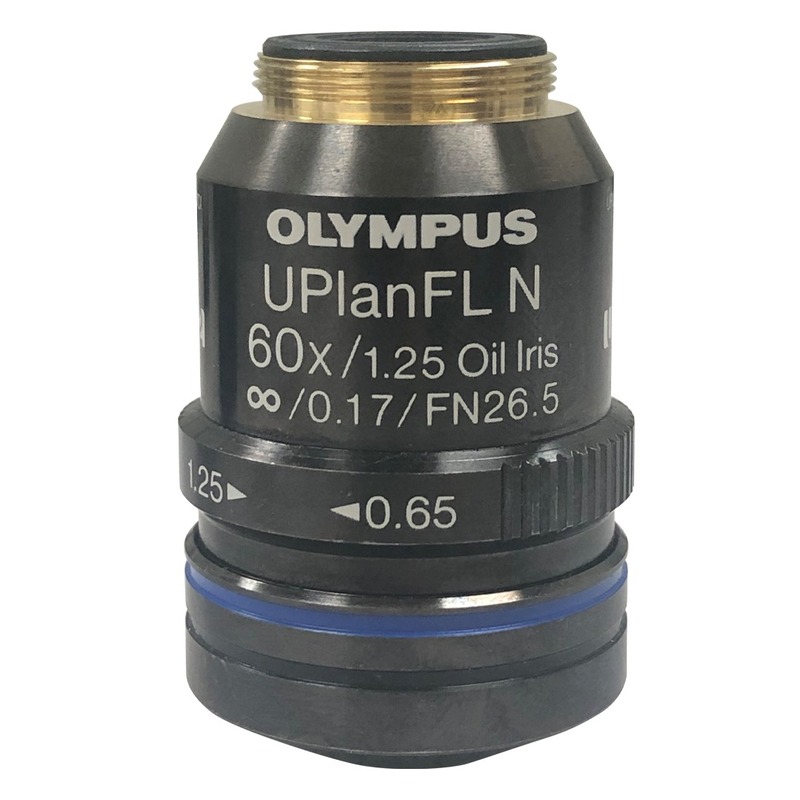 Objective lenses for microscopes