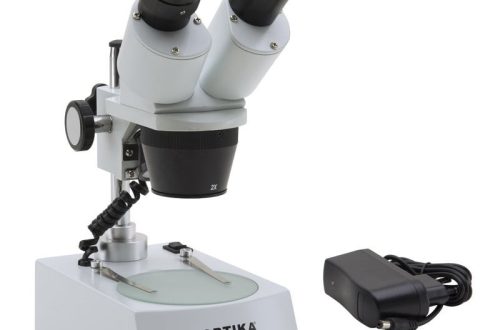 Dissecting microscope