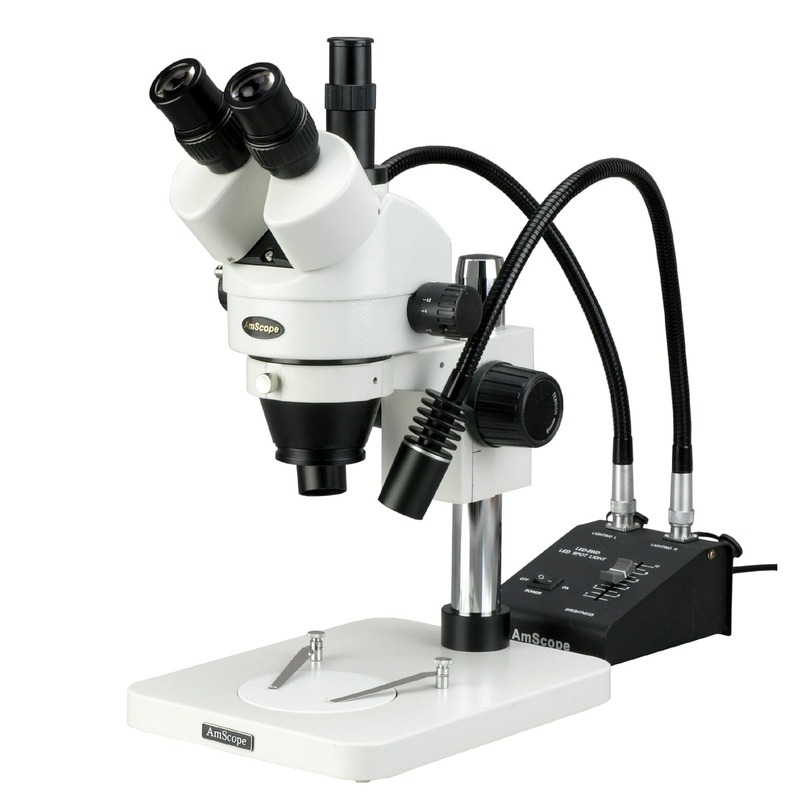 Dissecting microscope