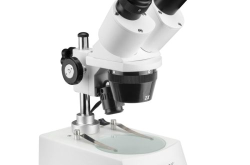 Educational binocular microscopes