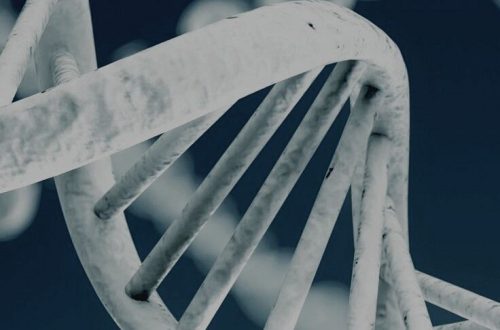dna under microscope