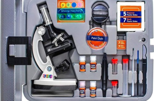 Kids microscope