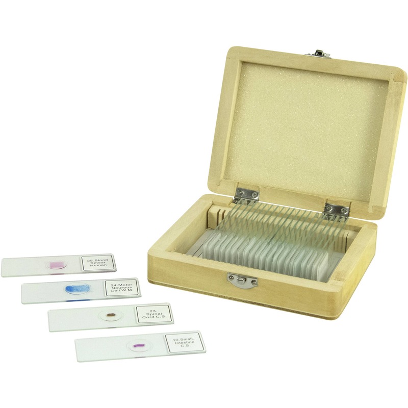 Microscope slides