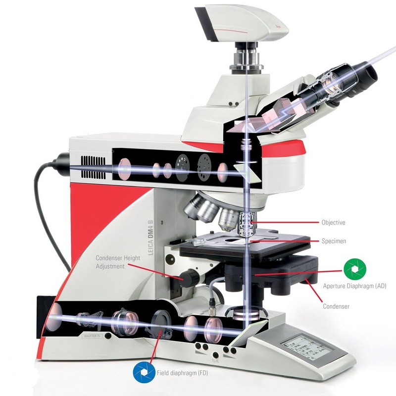 Diaphragm microscope