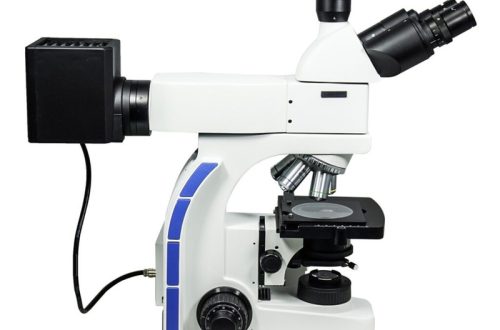 metallurgical microscope