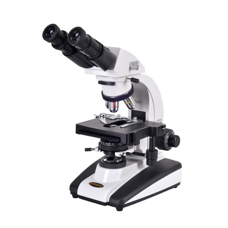 microscope clipart