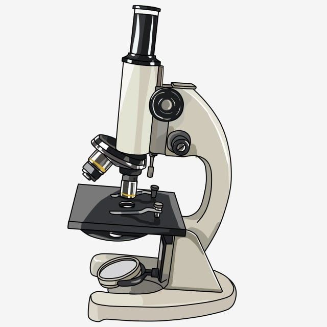 microscope clipart