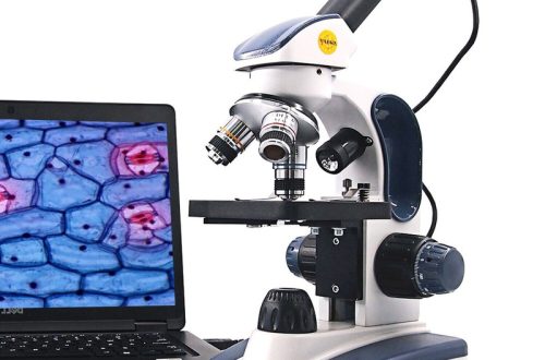 Microscope camera