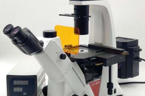 Fluorescence microscope