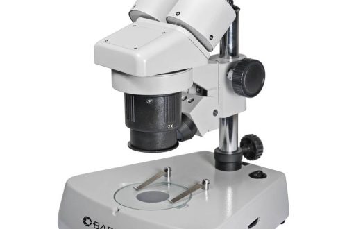 Stereoscopic microscope