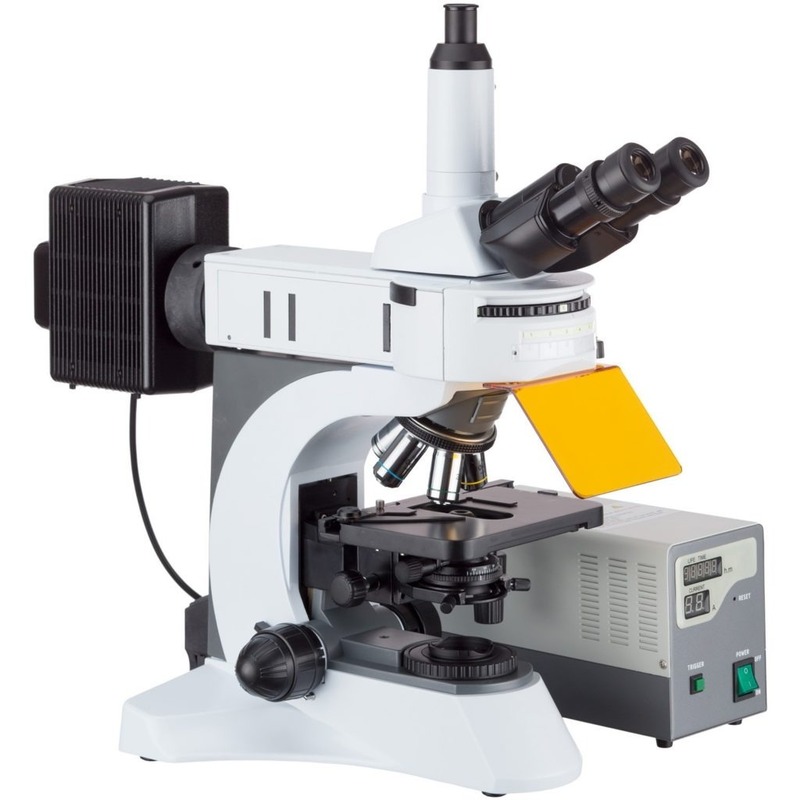 Fluorescence microscope