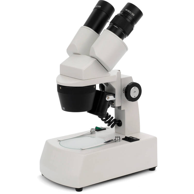 Stereoscopic microscope