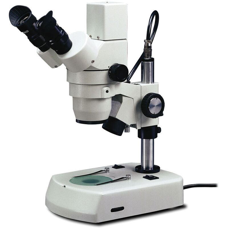 Microscope camera
