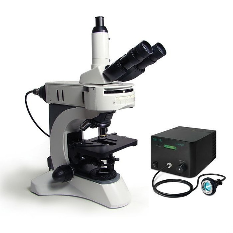 Fluorescence microscope