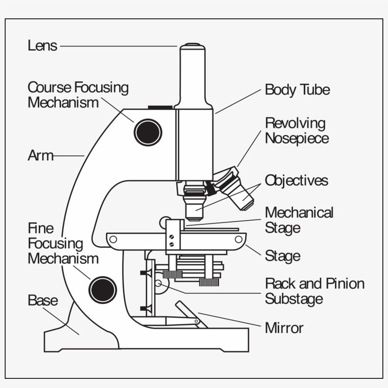 Microscope diagram