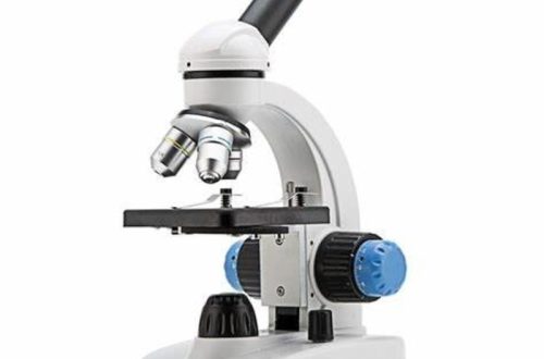 Optical microscope