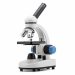 Optical microscope