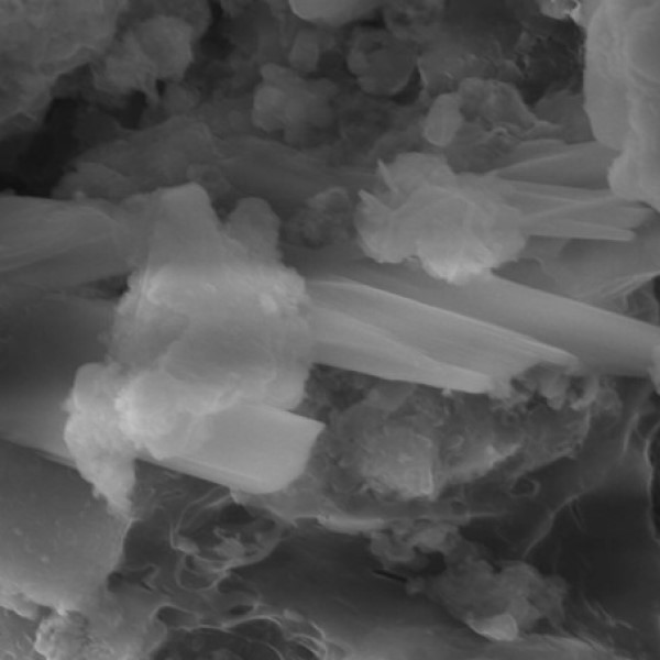 human ashes under microscope