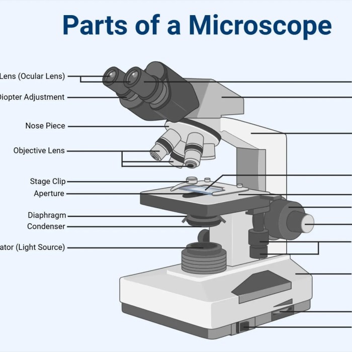 parts of a compound microscope