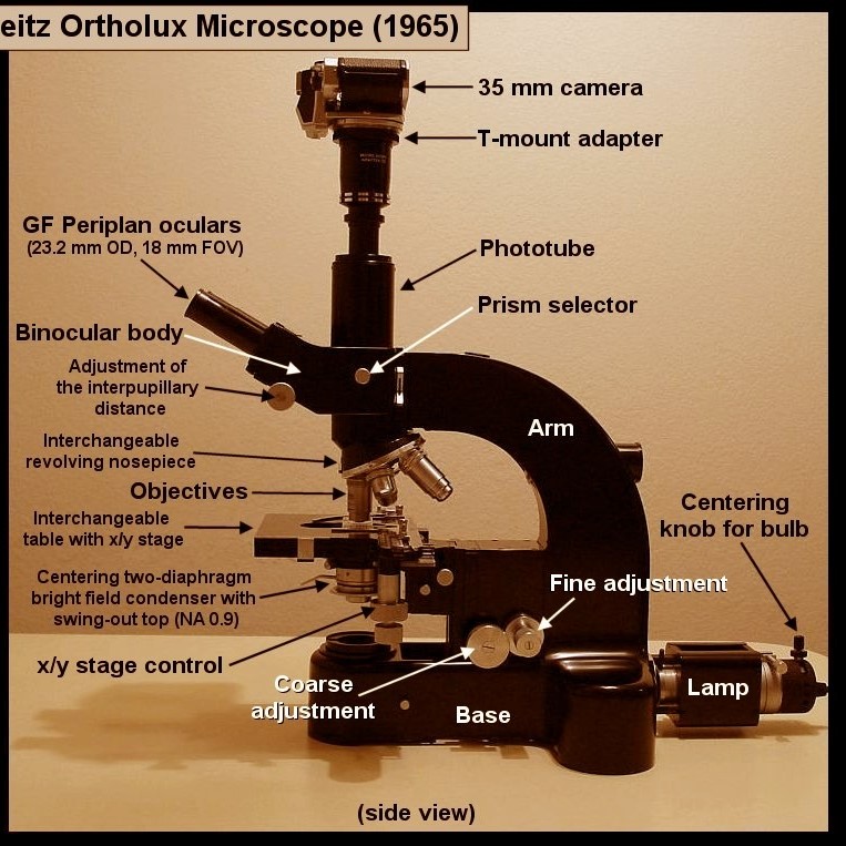 parts of a compound microscope
