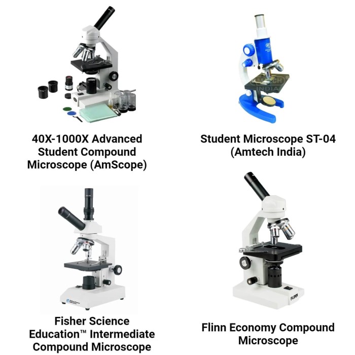 parts of a compound microscope