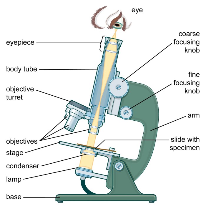 parts of a compound microscope