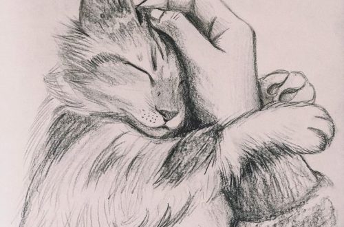 pencil sketch drawing