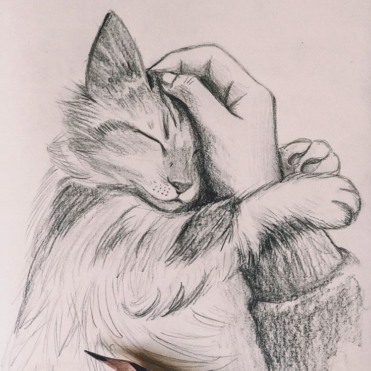 pencil sketch drawing