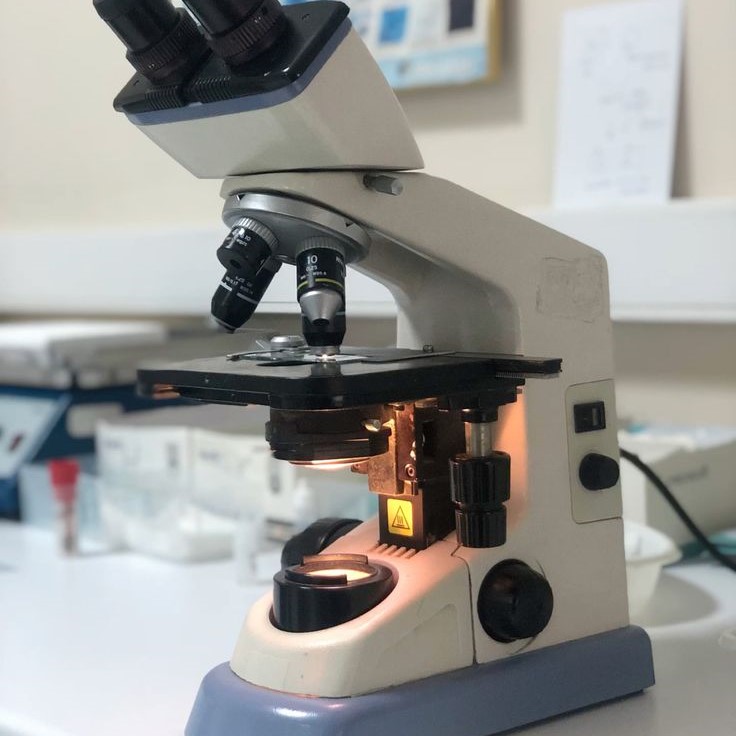 what is the function of the stage on a microscope