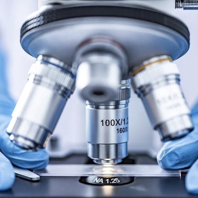 what does the objective lens do on a microscope