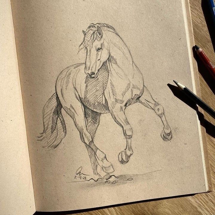 pencil horse drawing