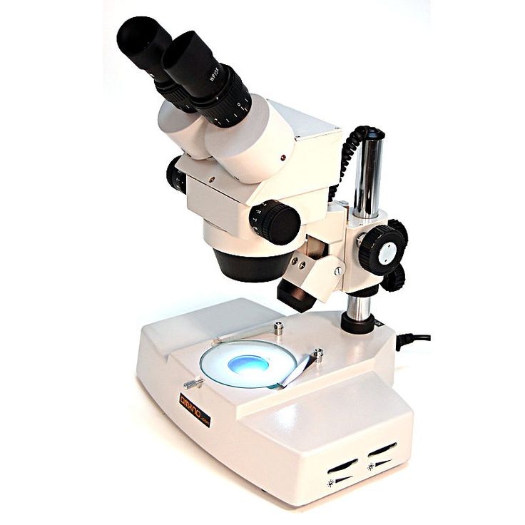 what does the base do on a microscope
