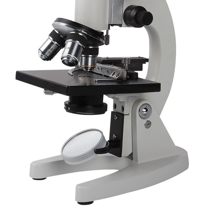 what does the base do on a microscope