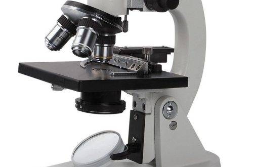 what does the diaphragm do on a microscope