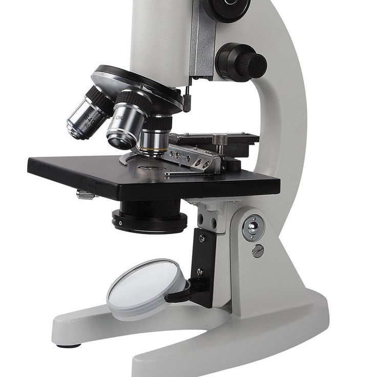 what does the diaphragm do on a microscope