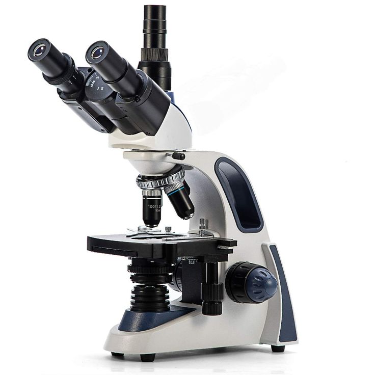 what does the eyepiece do on a microscope