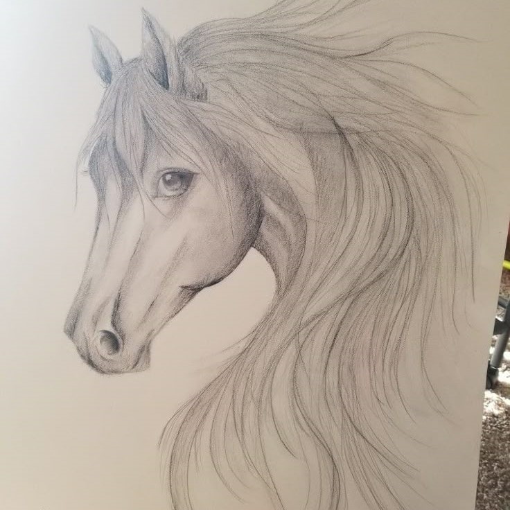 pencil horse drawing