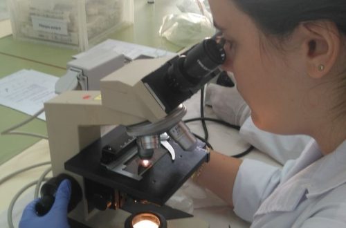 what does the eyepiece do on a microscope