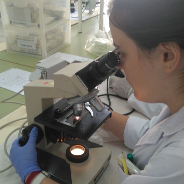what does the eyepiece do on a microscope