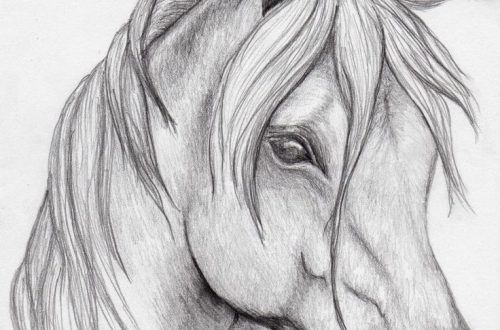 pencil horse drawing