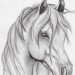 pencil horse drawing