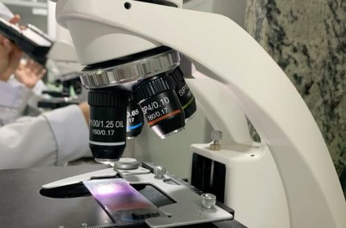 what is a light microscope