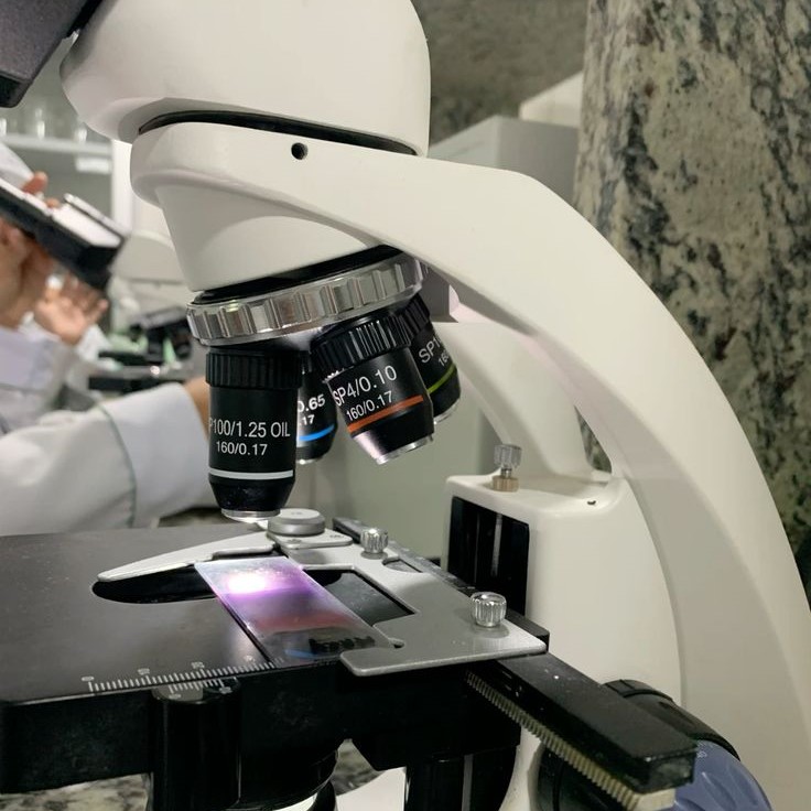 what is a light microscope