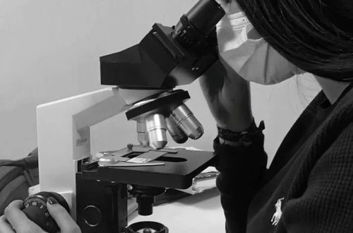 where are the focus controls on a microscope located