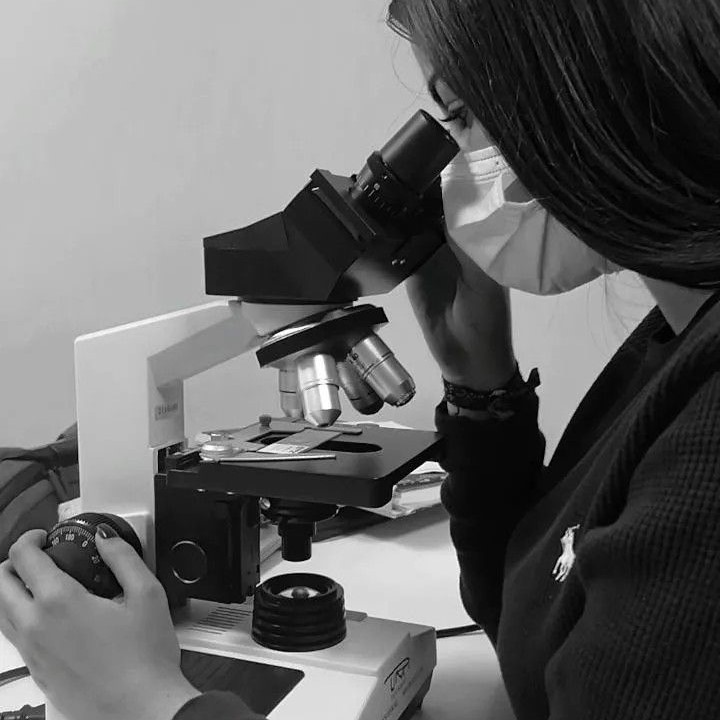 where are the focus controls on a microscope located