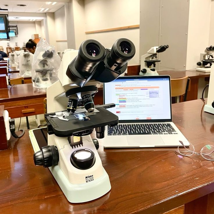 what is the function of the stage on a microscope