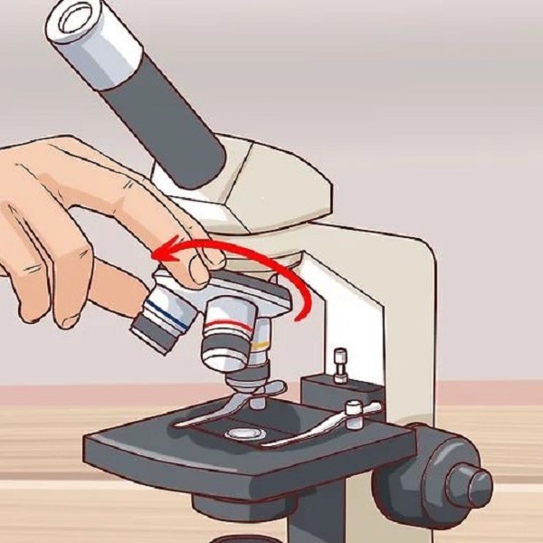 where are the focus controls on a microscope located